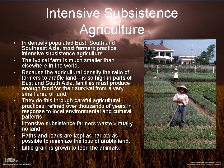 Intensive Subsistence Agriculture • • In densely populated East, South and Southeast Asia, most