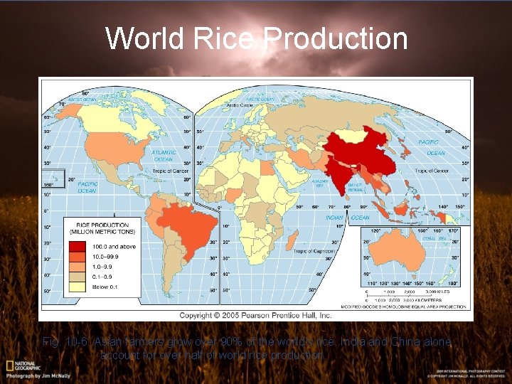 World Rice Production Fig. 10 -6: Asian farmers grow over 90% of the world’s