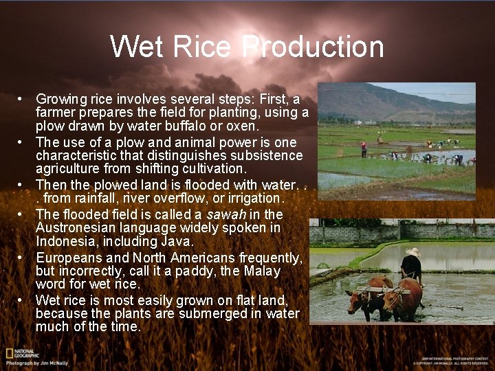 Wet Rice Production • Growing rice involves several steps: First, a farmer prepares the