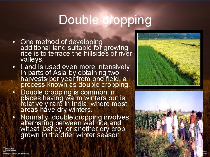 Double cropping • One method of developing additional land suitable for growing rice is