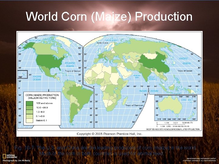 World Corn (Maize) Production Fig. 10 -7: The U. S. and China are the