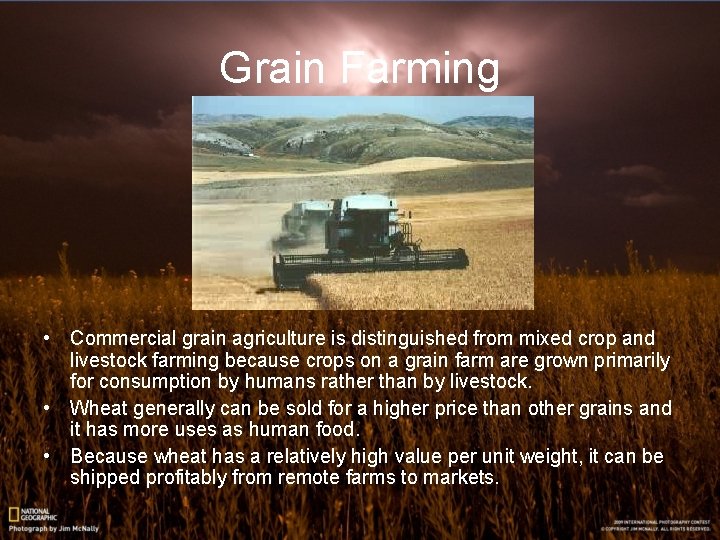 Grain Farming • Commercial grain agriculture is distinguished from mixed crop and livestock farming