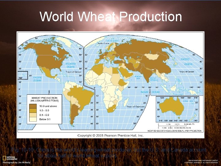 World Wheat Production Fig. 10 -10: China is the world’s leading wheat producer, but World Wheat Production Fig. 10 -10: China is the world’s leading wheat producer, but