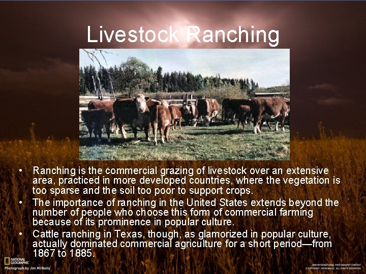 Livestock Ranching • Ranching is the commercial grazing of livestock over an extensive area, Livestock Ranching • Ranching is the commercial grazing of livestock over an extensive area,