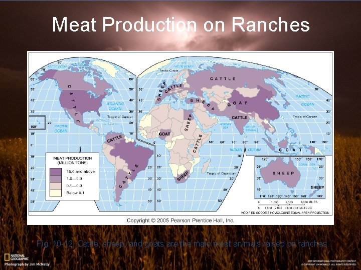 Meat Production on Ranches Fig. 10 -12: Cattle, sheep, and goats are the main Meat Production on Ranches Fig. 10 -12: Cattle, sheep, and goats are the main