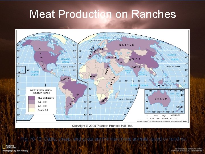 Meat Production on Ranches Fig. 10 -12: Cattle, sheep, and goats are the main