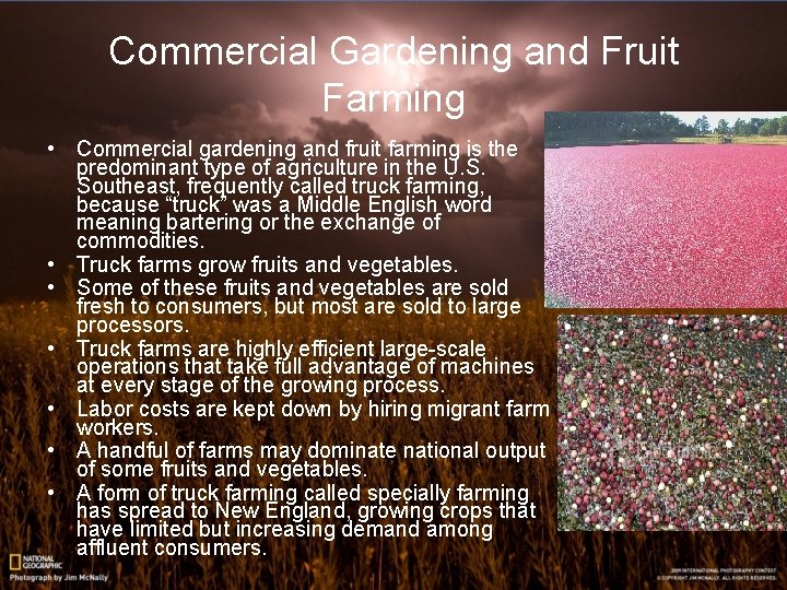 Commercial Gardening and Fruit Farming • Commercial gardening and fruit farming is the predominant