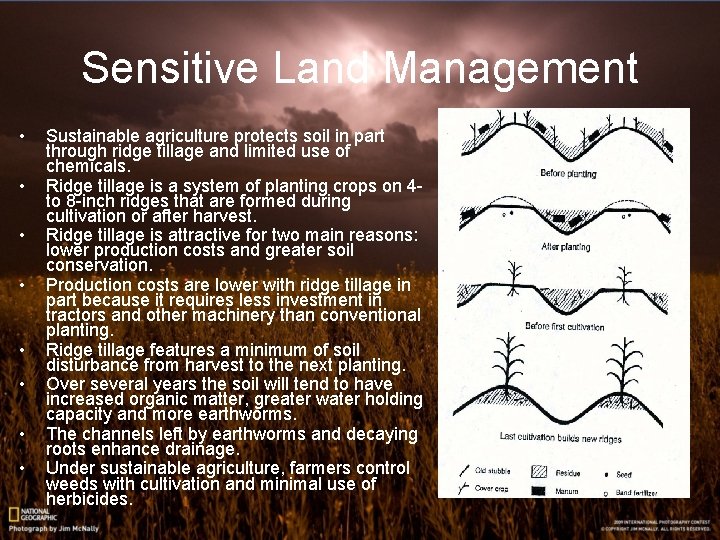 Sensitive Land Management • • Sustainable agriculture protects soil in part through ridge tillage