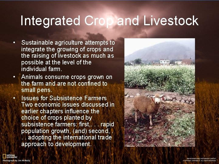 Integrated Crop and Livestock • Sustainable agriculture attempts to integrate the growing of crops