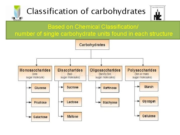 Classification of carbohydrates Based on Chemical Classification/ number of single carbohydrate units found in