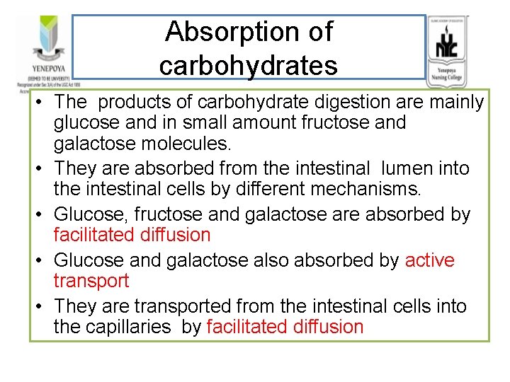 Absorption of carbohydrates • The products of carbohydrate digestion are mainly glucose and in