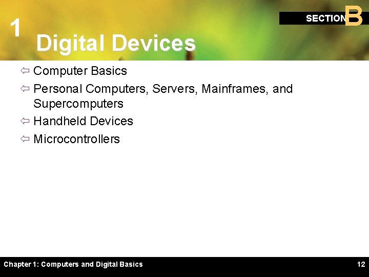 1 B SECTION Digital Devices ï Computer Basics ï Personal Computers, Servers, Mainframes, and