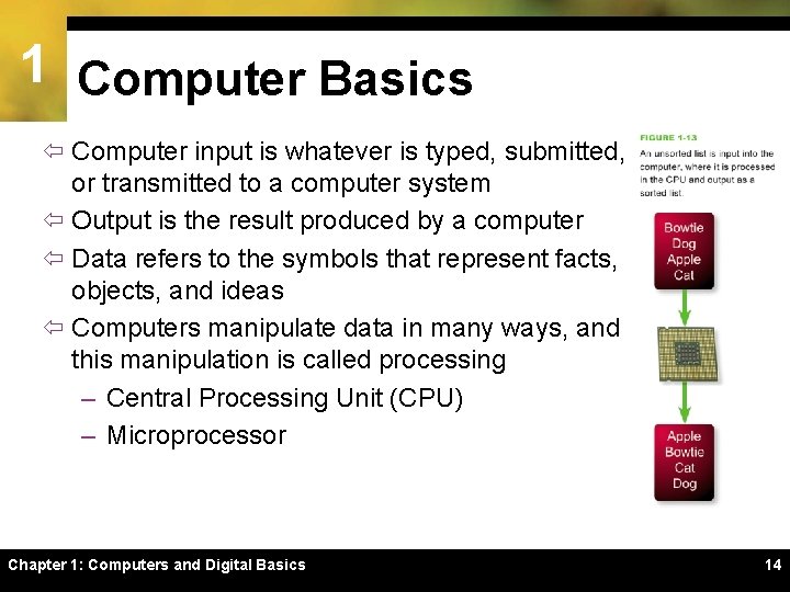 1 Computer Basics ï Computer input is whatever is typed, submitted, or transmitted to