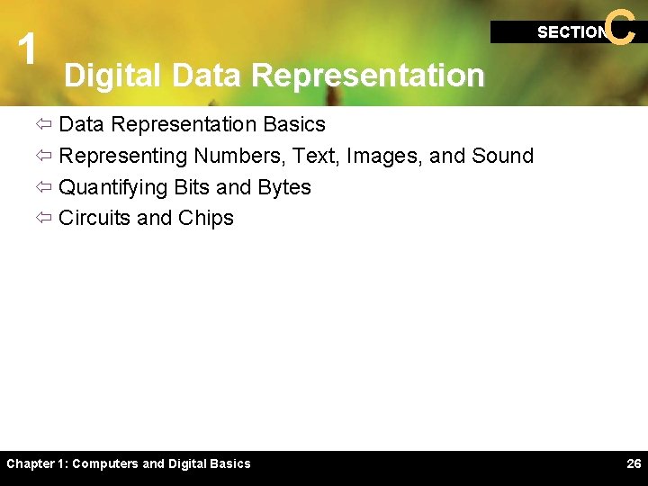 1 C SECTION Digital Data Representation ï Data Representation Basics ï Representing Numbers, Text,