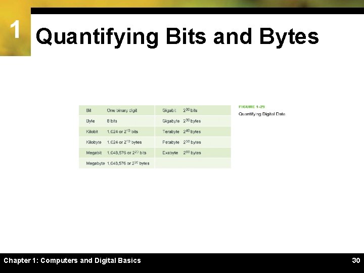 1 Quantifying Bits and Bytes Chapter 1: Computers and Digital Basics 30 