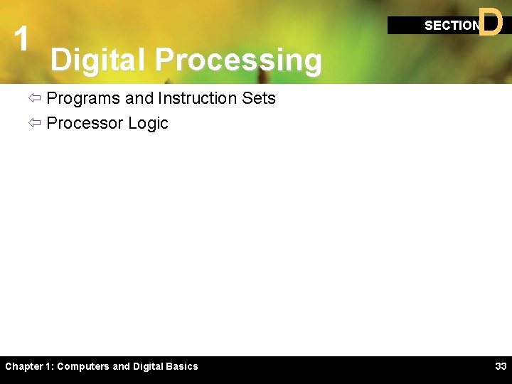 1 D SECTION Digital Processing ï Programs and Instruction Sets ï Processor Logic Chapter