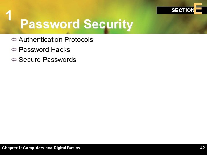 1 E SECTION Password Security ï Authentication Protocols ï Password Hacks ï Secure Passwords