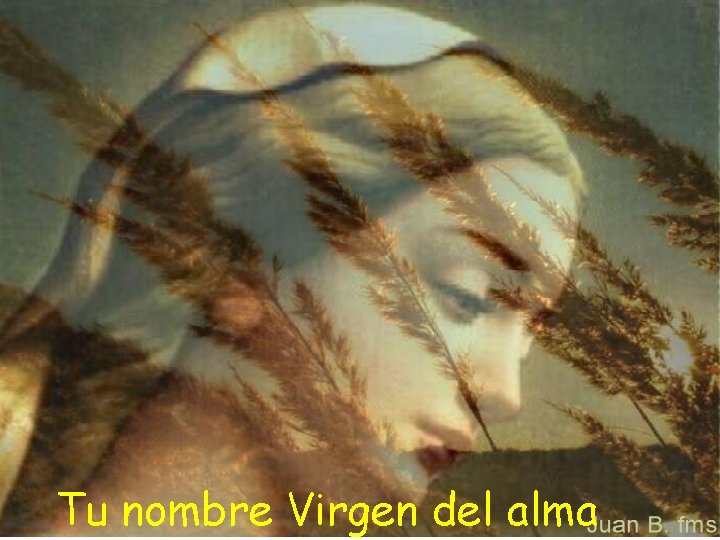 Tu nombre Virgen del alma Tu nombre Virgen del alma