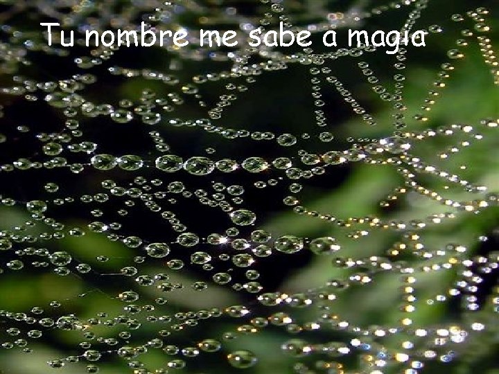 Tu nombre me sabe a magia Tu nombre me sabe a magia