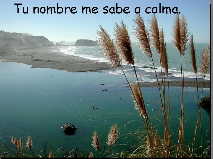 Tu nombre me sabe a calma. Tu nombre me sabe a calma.