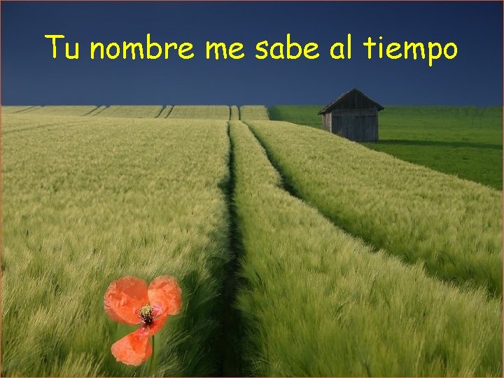 Tu nombre me sabe al tiempo Tu nombre me sabe al tiempo