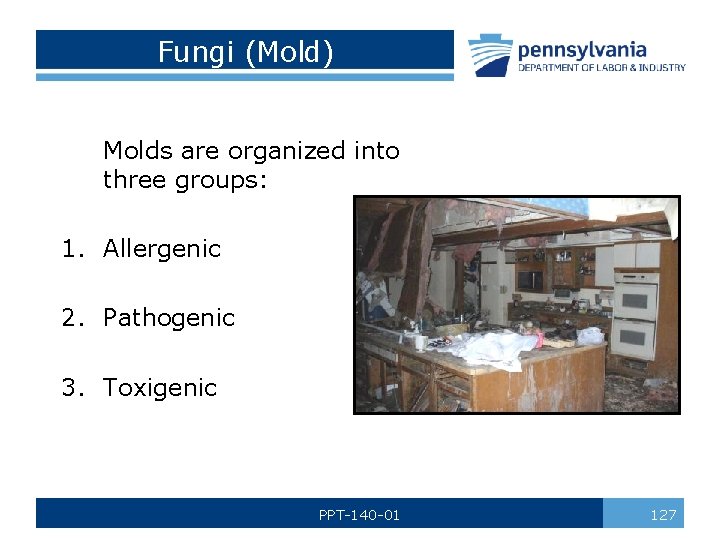 Fungi (Mold) Molds are organized into three groups: 1. Allergenic 2. Pathogenic 3. Toxigenic