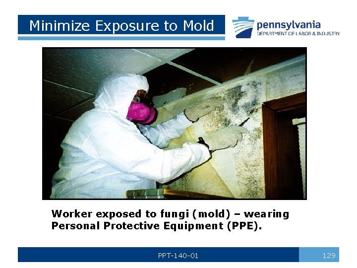 Minimize Exposure to Mold Worker exposed to fungi (mold) – wearing Personal Protective Equipment