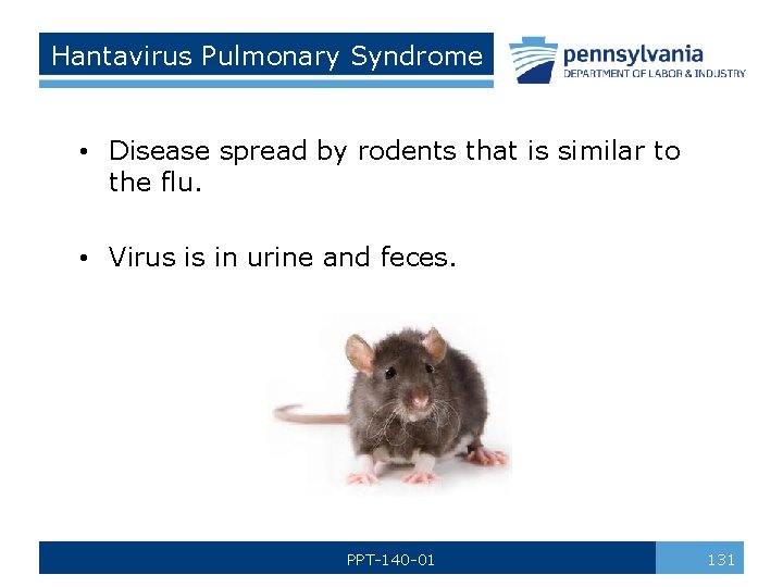 Hantavirus Pulmonary Syndrome • Disease spread by rodents that is similar to the flu.