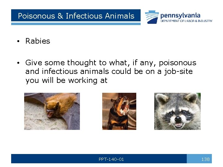 Poisonous & Infectious Animals • Rabies • Give some thought to what, if any,