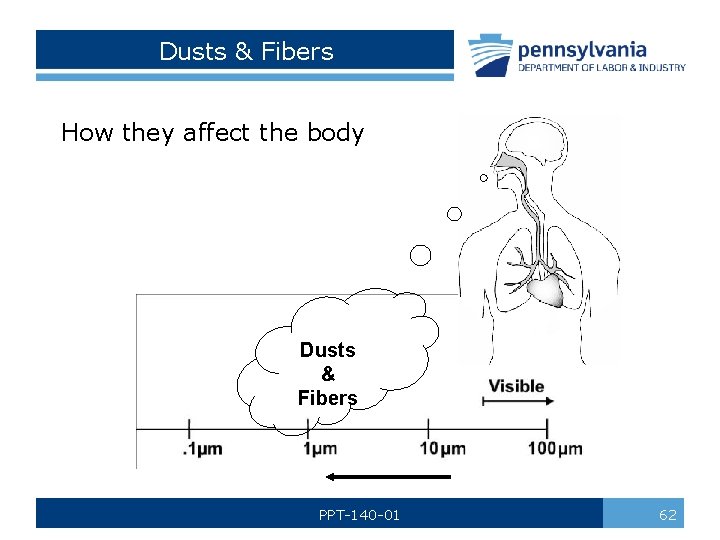 Dusts & Fibers How they affect the body Dusts & Fibers PPT-140 -01 62