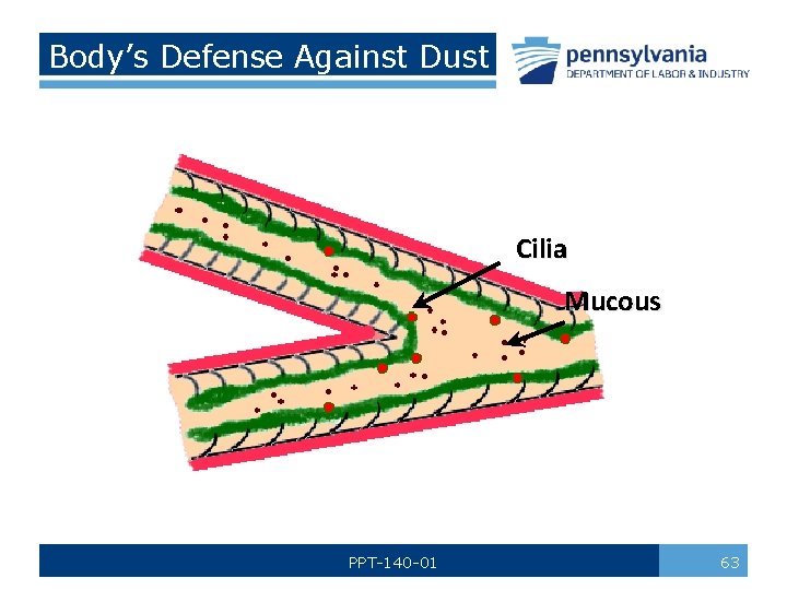 Body’s Defense Against Dust Cilia Mucous PPT-140 -01 63 