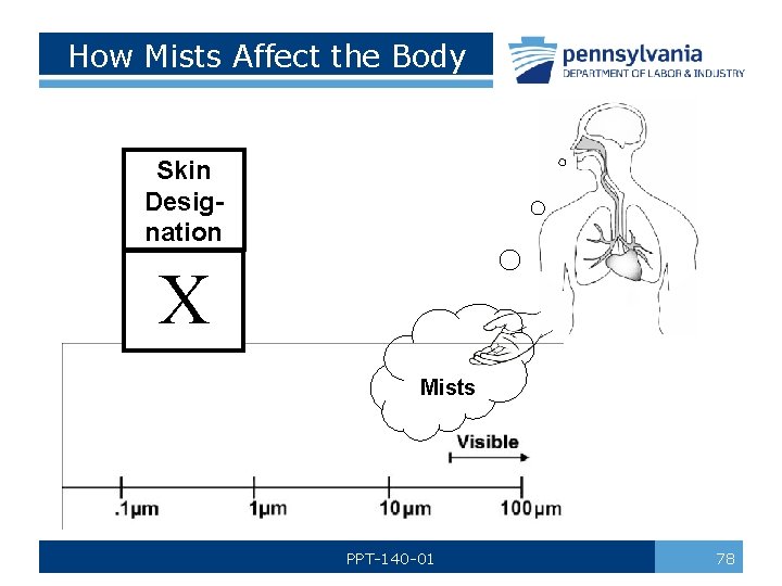 How Mists Affect the Body Skin Designation X Mists PPT-140 -01 78 