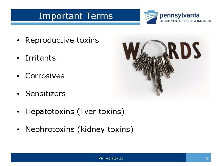 Important Terms • Reproductive toxins • Irritants • Corrosives • Sensitizers • Hepatotoxins (liver