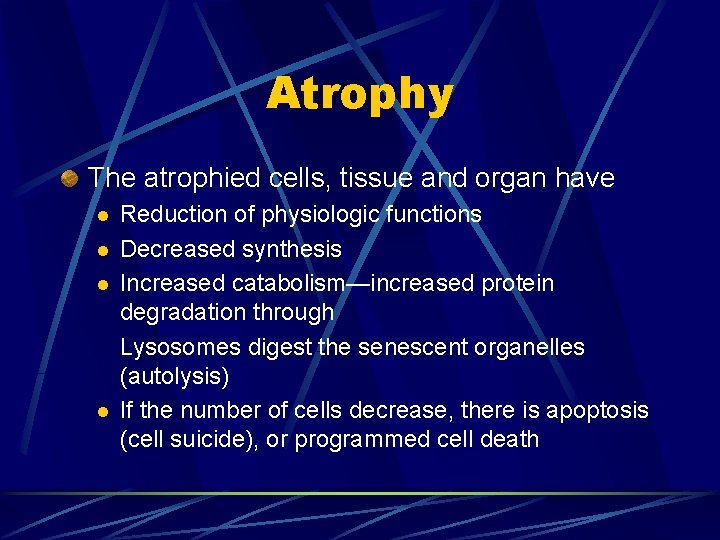Atrophy The atrophied cells, tissue and organ have l l Reduction of physiologic functions