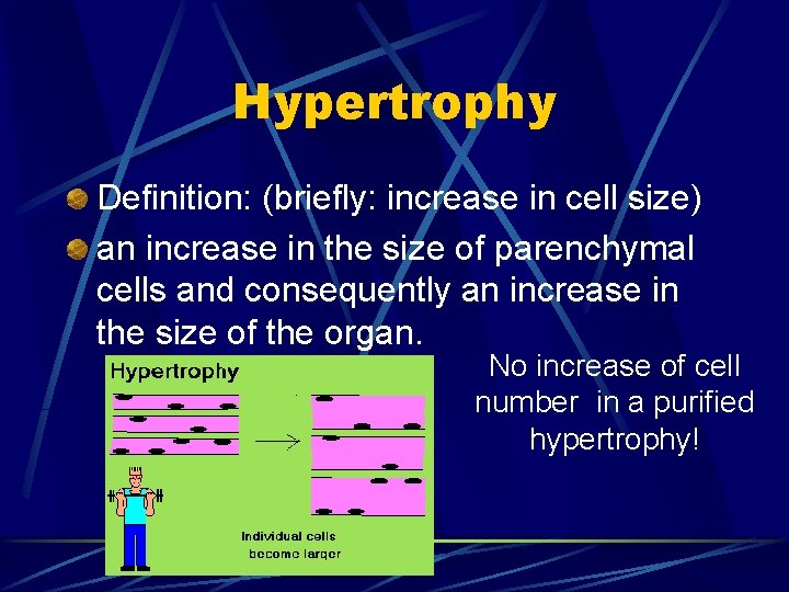 Hypertrophy Definition: (briefly: increase in cell size) an increase in the size of parenchymal