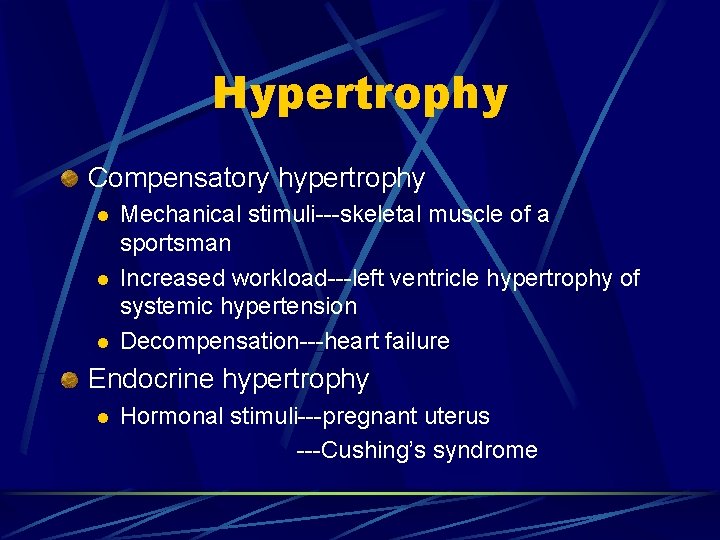 Hypertrophy Compensatory hypertrophy l l l Mechanical stimuli---skeletal muscle of a sportsman Increased workload---left