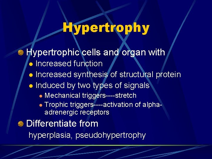 Hypertrophy Hypertrophic cells and organ with Increased function l Increased synthesis of structural protein
