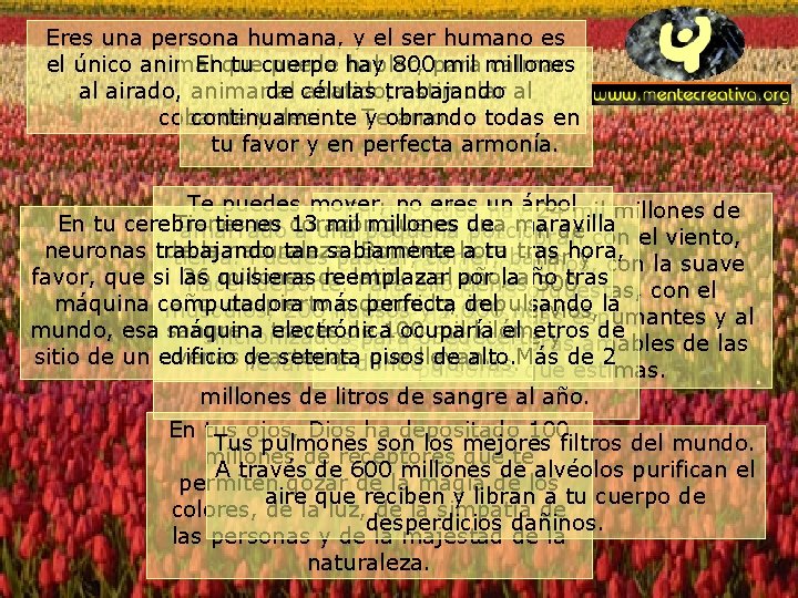 Eres una persona humana, y el ser humano es el único animal puede hay