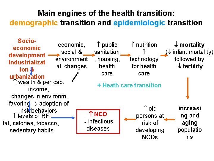 Main engines of the health transition: demographic transition and epidemiologic transition Socioeconomic, public nutrition