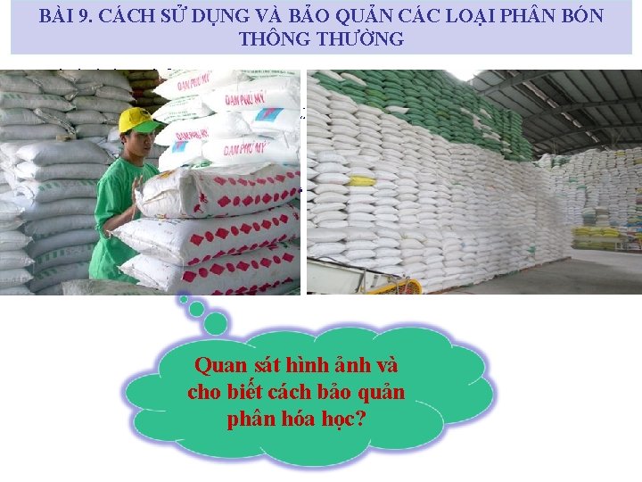 BÀI 9. CÁCH SỬ DỤNG VÀ BẢO QUẢN CÁC LOẠI PH N BÓN THÔNG BÀI 9. CÁCH SỬ DỤNG VÀ BẢO QUẢN CÁC LOẠI PH N BÓN THÔNG