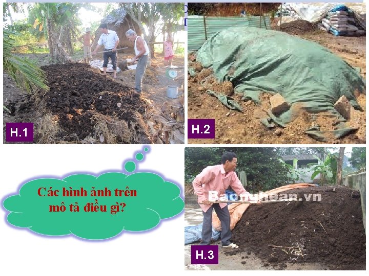 BÀI 9. CÁCH SỬ DỤNG VÀ BẢO QUẢN CÁC LOẠI PH N BÓN THÔNG BÀI 9. CÁCH SỬ DỤNG VÀ BẢO QUẢN CÁC LOẠI PH N BÓN THÔNG