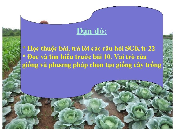 Dặn dò: * Học thuộc bài, trả lời các câu hỏi SGK tr 22 Dặn dò: * Học thuộc bài, trả lời các câu hỏi SGK tr 22
