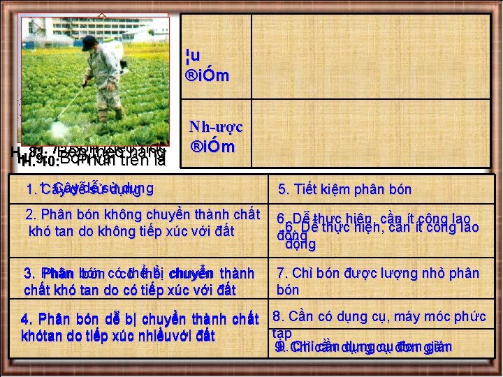 ¦u ®iÓm Bóntheohàng hốc H. 7: H. 8: Bón H. vãi trên lá Phun ¦u ®iÓm Bóntheohàng hốc H. 7: H. 8: Bón H. vãi trên lá Phun