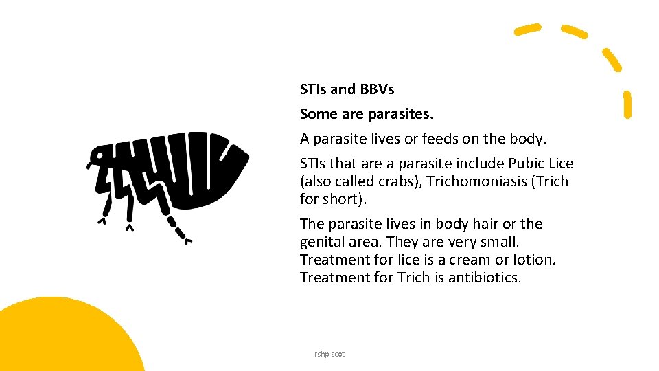 STIs and BBVs Some are parasites. A parasite lives or feeds on the body. STIs and BBVs Some are parasites. A parasite lives or feeds on the body.