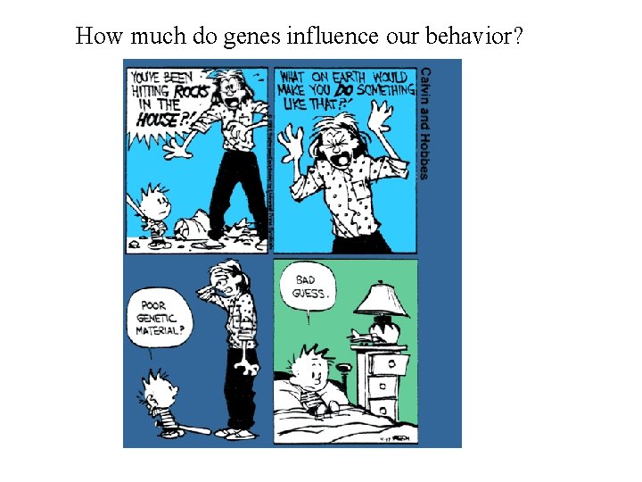 How much do genes influence our behavior? 