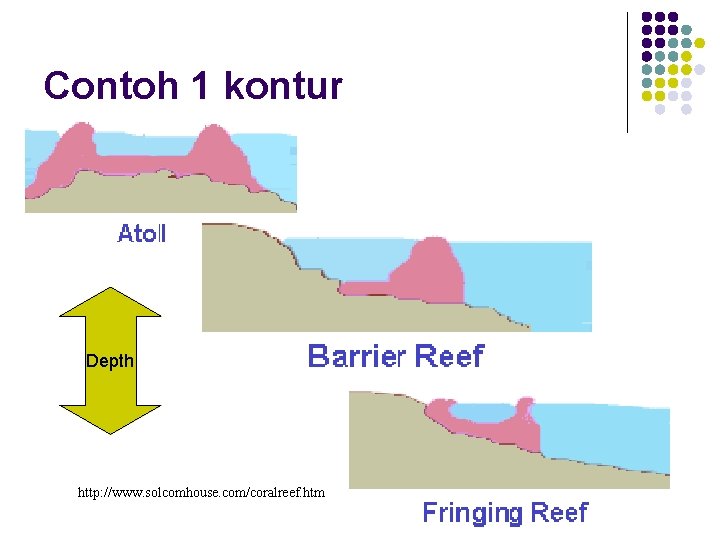 Contoh 1 kontur Depth http: //www. solcomhouse. com/coralreef. htm 