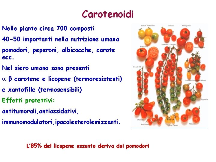 Carotenoidi Nelle piante circa 700 composti 40 -50 importanti nella nutrizione umana pomodori, peperoni,