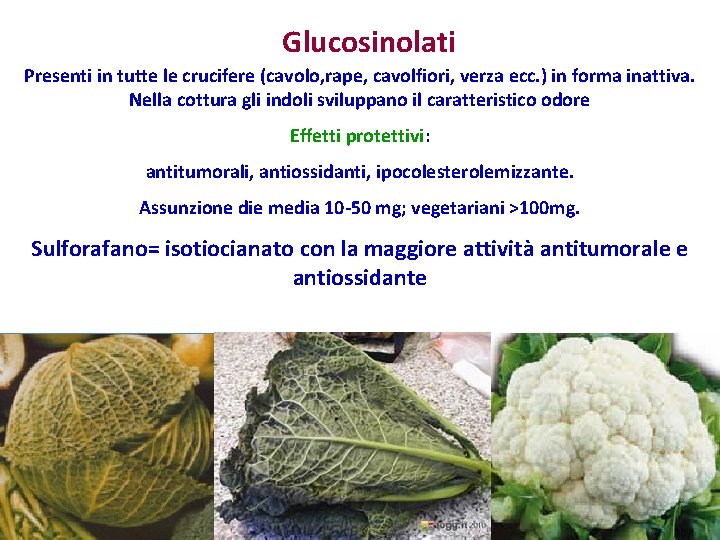 Glucosinolati Presenti in tutte le crucifere (cavolo, rape, cavolfiori, verza ecc. ) in forma Glucosinolati Presenti in tutte le crucifere (cavolo, rape, cavolfiori, verza ecc. ) in forma