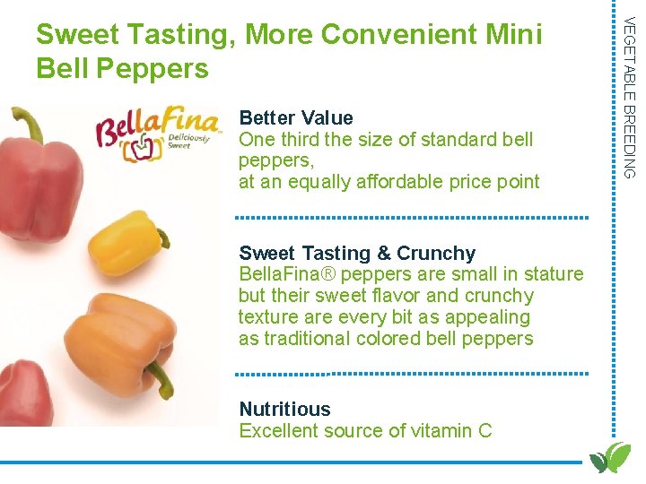 Better Value One third the size of standard bell peppers, at an equally affordable Better Value One third the size of standard bell peppers, at an equally affordable