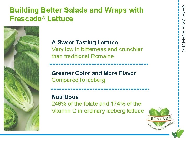 A Sweet Tasting Lettuce Very low in bitterness and crunchier than traditional Romaine Greener A Sweet Tasting Lettuce Very low in bitterness and crunchier than traditional Romaine Greener